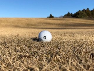 ビギナーの方【質問】ショットを打つ前にちゃんと見ていますか？